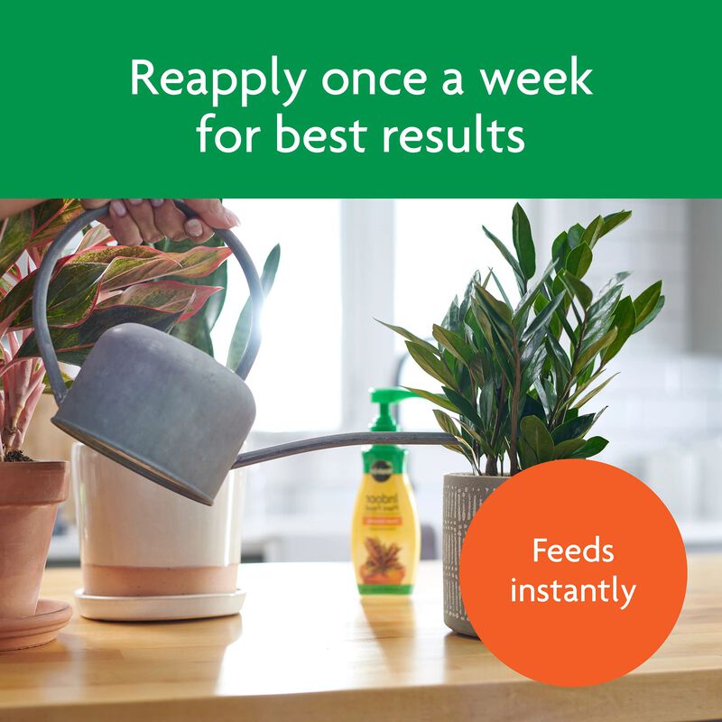Miracle-Gro® Indoor Potting Mix and Miracle-Gro® Indoor Plant Food image number null